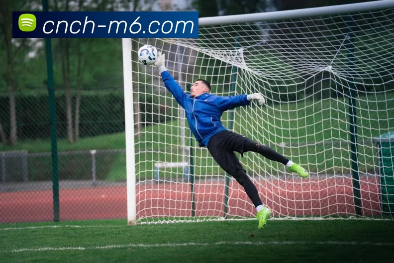 M7体育投注平台品牌故事