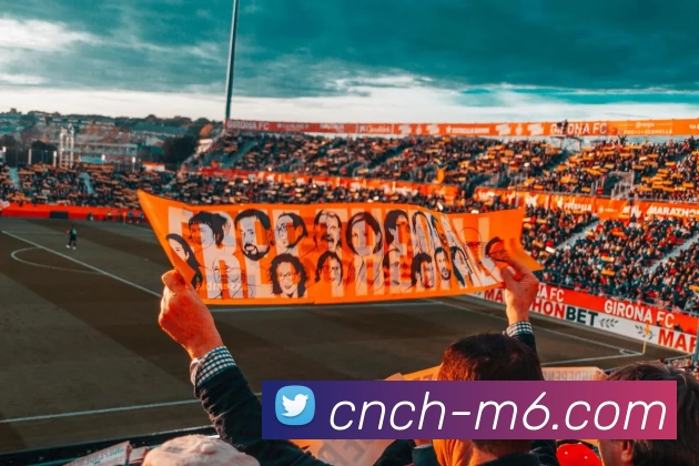 M7体育投注平台服务体系